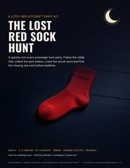 The Lost Red Sock Hunt kit cover